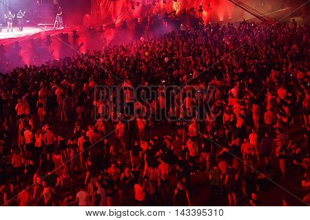 Crowd Of People Dancing At A Concert