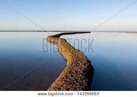 a path of rocks in the water