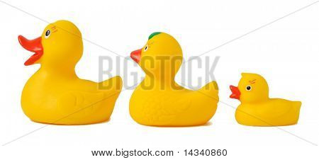 Canards en caoutchouc jaune