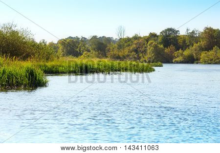 Water surface and long grass on the riverbed
