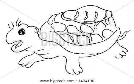 Skildpadde tegning