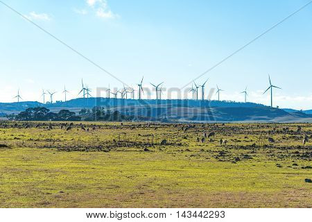 Windmill Electricity Turbine