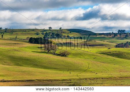 Agriculture Outback Paddock