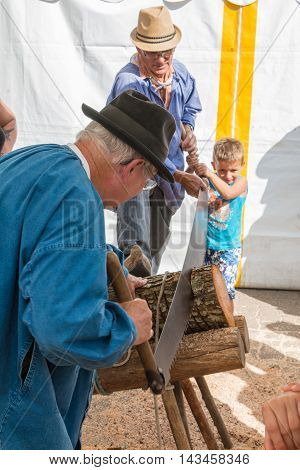 Loggers Cut Wood With A Saw Former Lumberjack