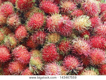 rambutan Fresh from the tree for sale