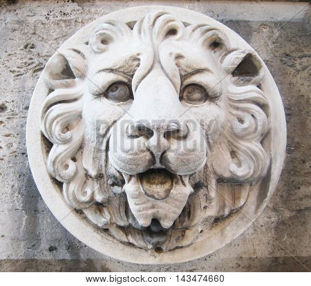 Stone lion head on the white old wall background