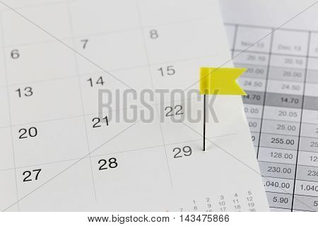 Yellow Pins to Wildcats on the calendar beside the Twenty-nine number of month in business concept.