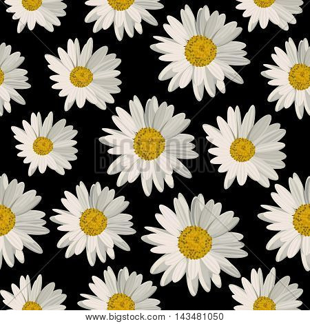 Seamless pattern with white daisies on black background. Vector illustration.