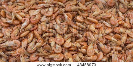Fresh Shrimp At At Outdoor Seafood Market