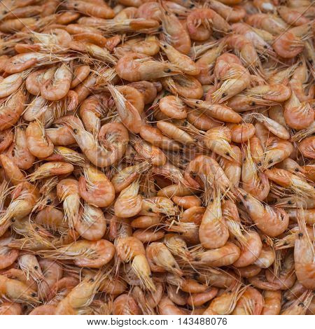 Fresh Shrimp At At Outdoor Seafood Market