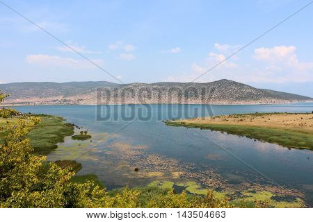 picture of a lake Prespa in Albania in summer