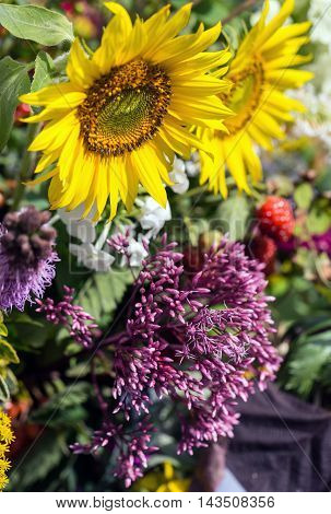 handmade beautiful bouquets from flowers and herbs