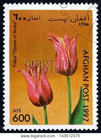 AFGHANISTAN - CIRCA 1997: a stamp printed in Afghanistan shows Tulip Queen of Sheba Flower circa 1997