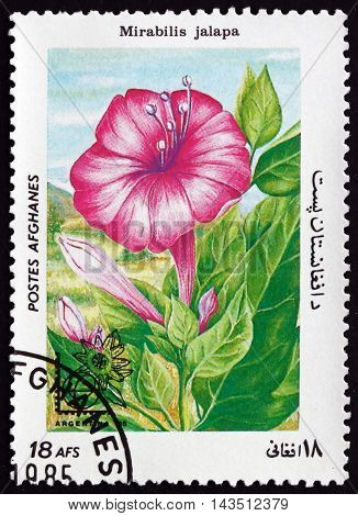 AFGHANISTAN - CIRCA 1985: a stamp printed in Afghanistan shows Marvel of Peru Mirabilis Jalapa Flowering Plant circa 1985