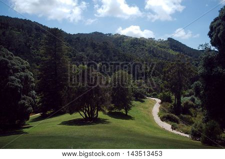 Garden of Monserrate Palace in Sintra, Portugal