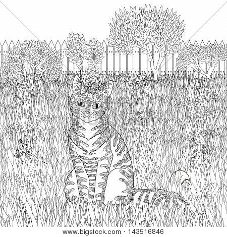 High detail patterned cat on detailed background in zentangle style. Adult coloring page with pet for antistress art therapy. Zendoodle template for t-shirt, tattoo, poster or logo. Vecto illustration