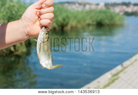 Fishermans hand holding freshly cought fish by the lake