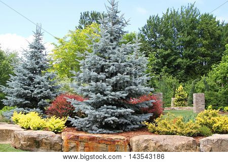 Landscaping of trees and shrubs lined with massive rocks