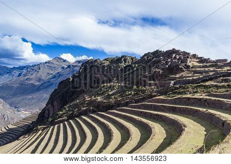 Farming Terraces By The Inca