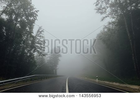 Road with separating strip in the fog among the forest