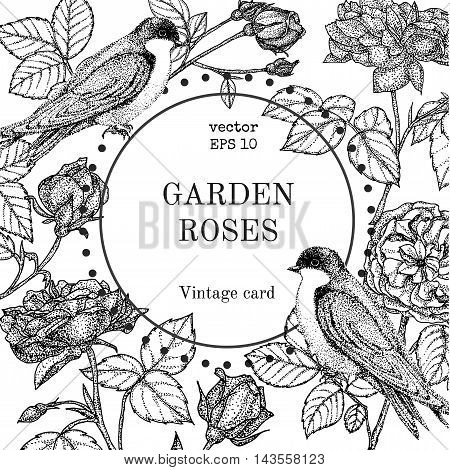 Vector vintage round frame with birds and flowers. Black and white. Fit for wedding card invitation greetings.