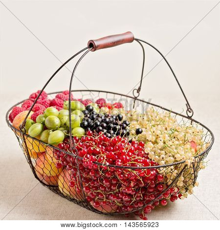 Summer fruits and berries - red black and white currants raspberries gooseberries peaches and apricots. Selective focus.