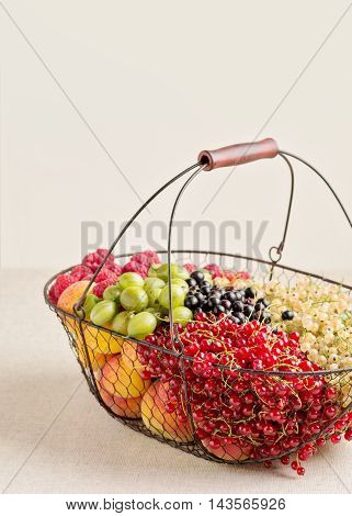 Summer fruits and berries - red black and white currants raspberries gooseberries peaches and apricots. Selective focus.