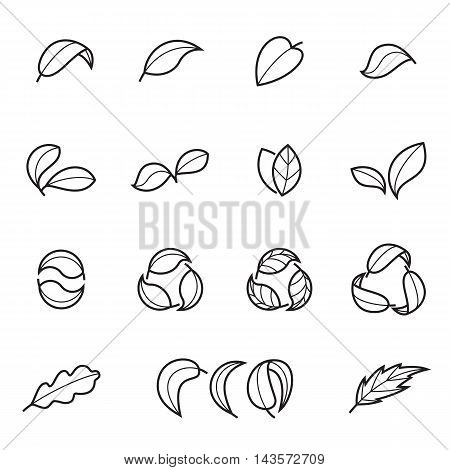 Linear icons of leaves isolated on a white background. Vector illustration