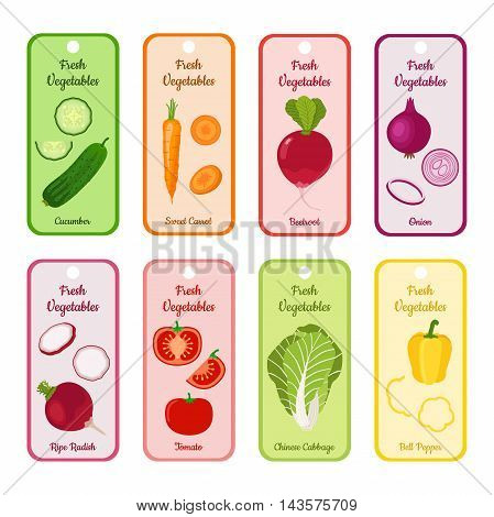 Set of vector blank with different vegetables. Cucumber, sweet carrot, beetroot, chinese cabbage, tomato, bell pepper, garden radish and onion. Illustration for village markets, supermarkets, gardens.
