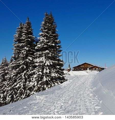 Winter scene on top of Mt Wispile Gstaad. Snow covered trees and timber chalet. Summit restaurant.