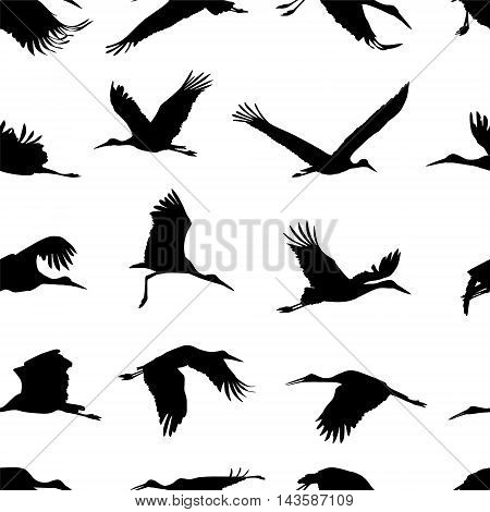 Seamless vector pattern - stork black solhouettes on white