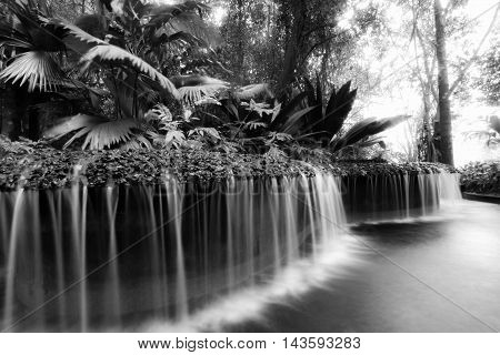 a monochrome picture of waterfall at botanic gardens