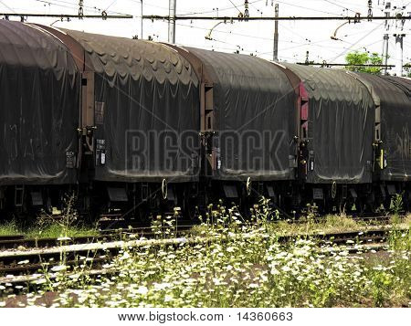 Vagoni del treno abbandonato