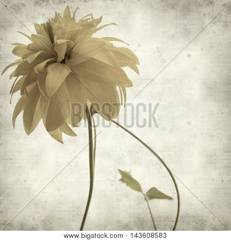 Textured Old Paper Background