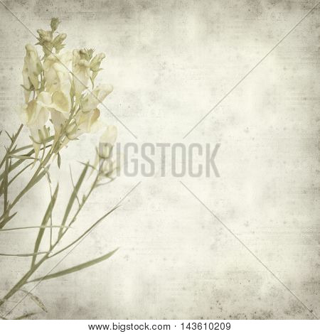Textured Old Paper Background