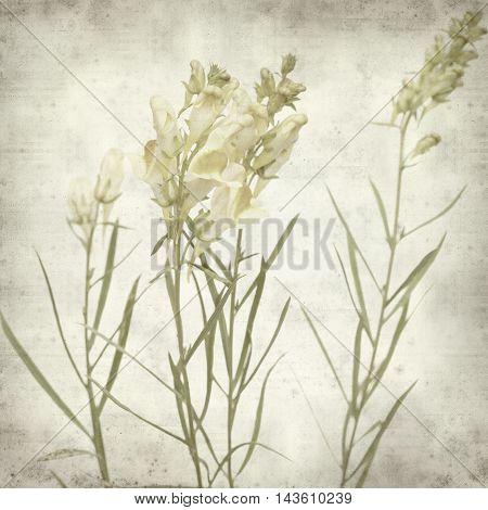 Textured Old Paper Background