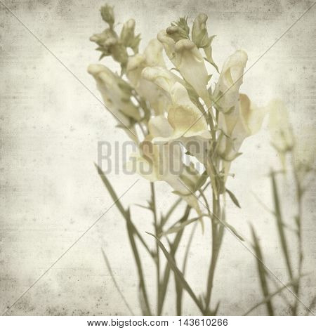 Textured Old Paper Background