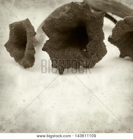 Textured Old Paper Background