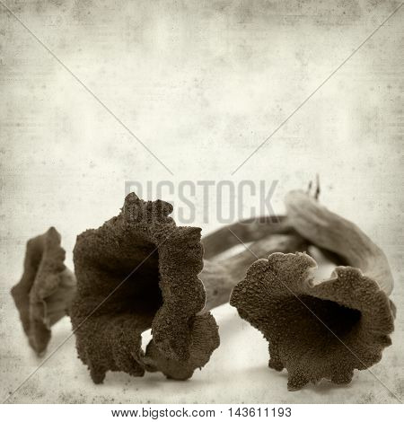 Textured Old Paper Background