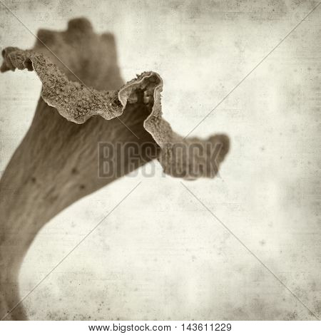 Textured Old Paper Background