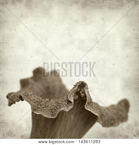 Textured Old Paper Background