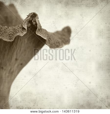 Textured Old Paper Background