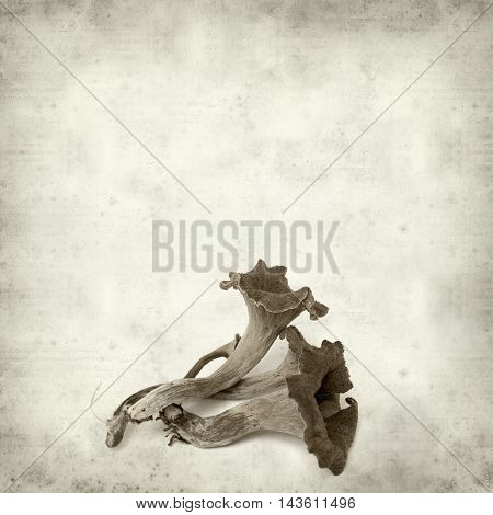 Textured Old Paper Background