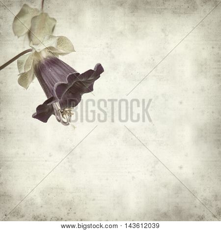 Textured Old Paper Background