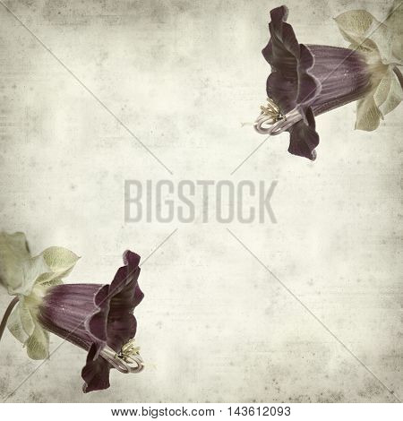 Textured Old Paper Background