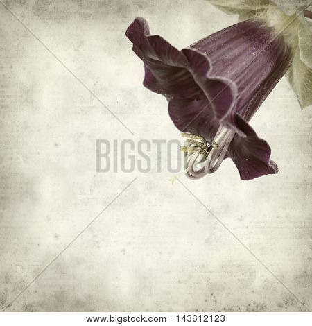 Textured Old Paper Background