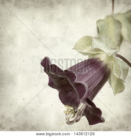 Textured Old Paper Background