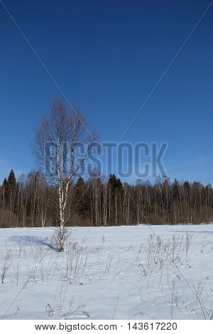 Sunny day in early spring in 