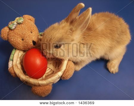 Osterhase und Bear geschenkband