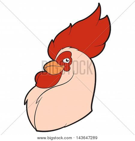 Vector image of the chicken carrtoon head